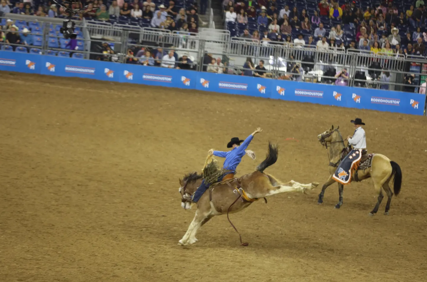 RodeoHouston bronc riding NRG Stadium Houston Texas — child custody attorney Houston TX serving all Houston neighborhoods